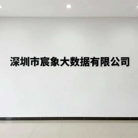 深圳市宸象大数据有限公司